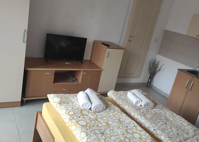 Shenk\'S Apartment